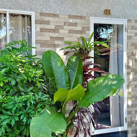 Ho Coc Homestay Exterior photo