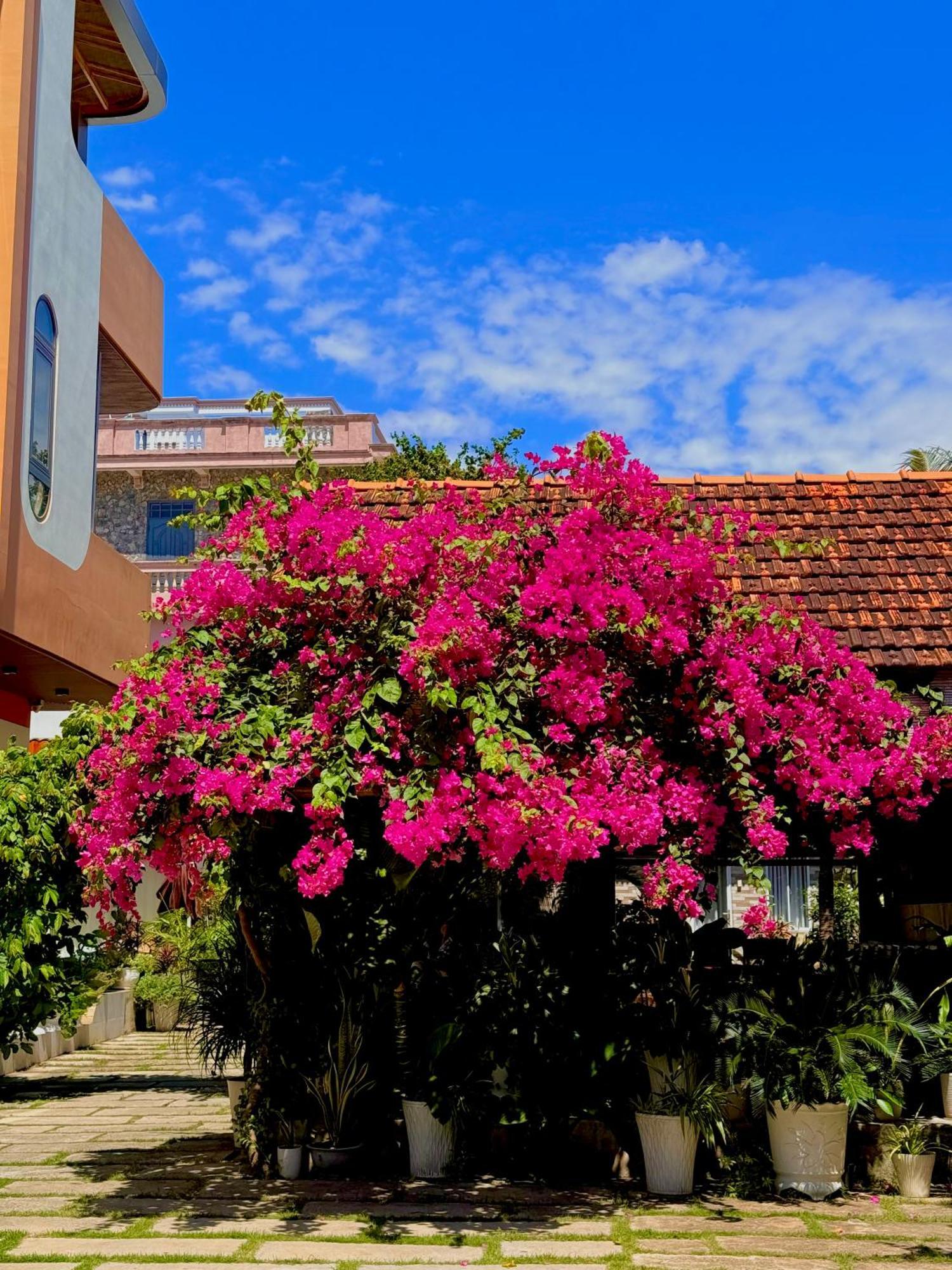 Ho Coc Homestay Exterior photo